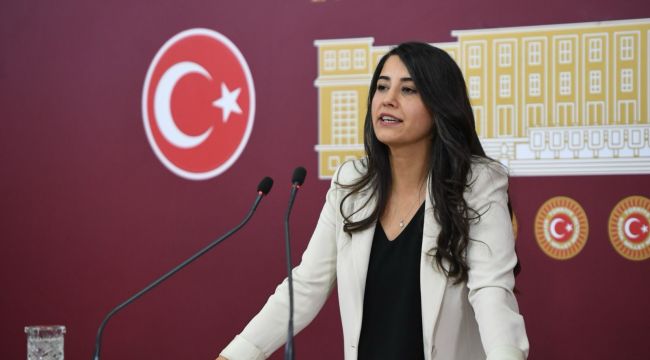 Dem Parti Sanliurfa Milletvekili