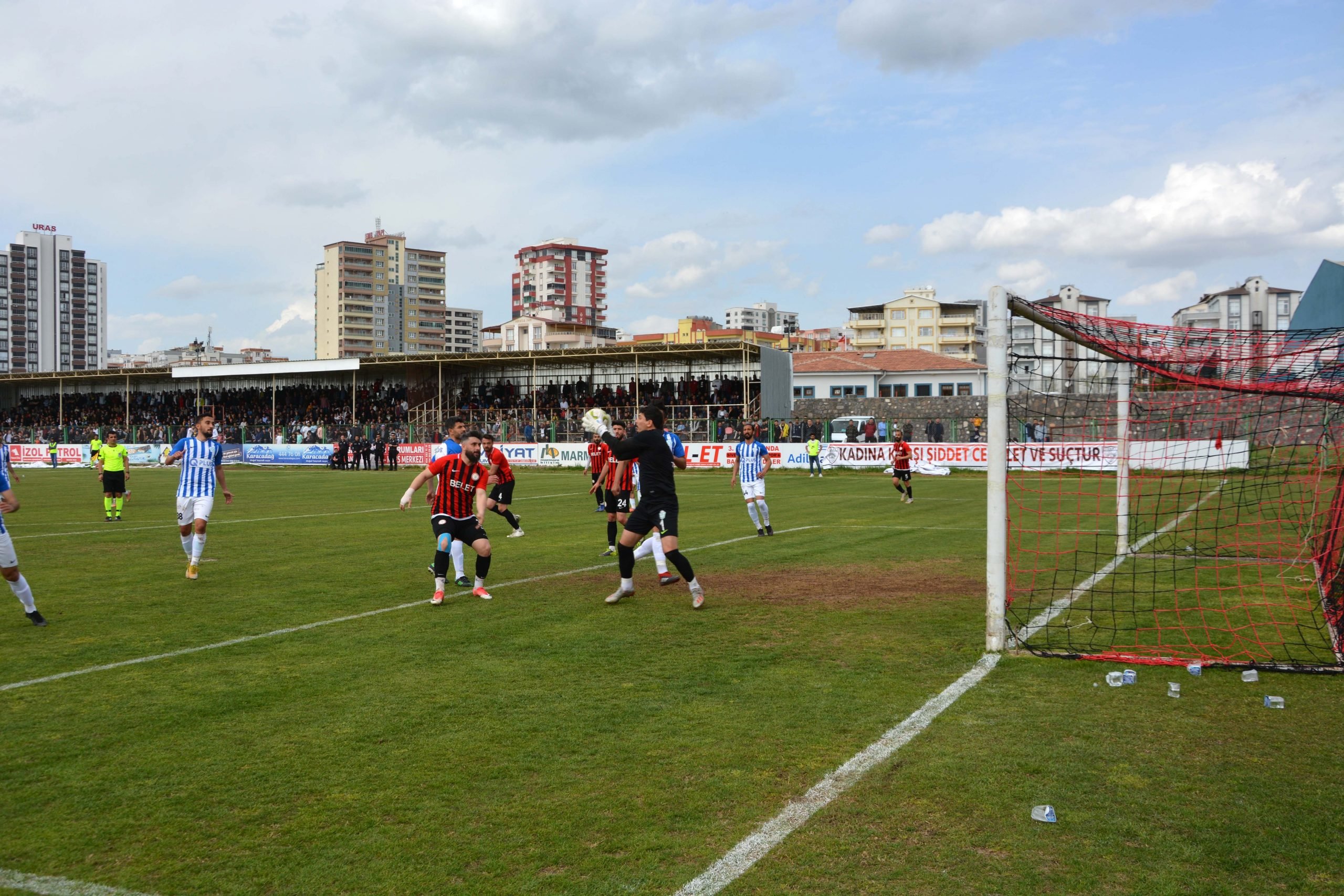 Siverekspor