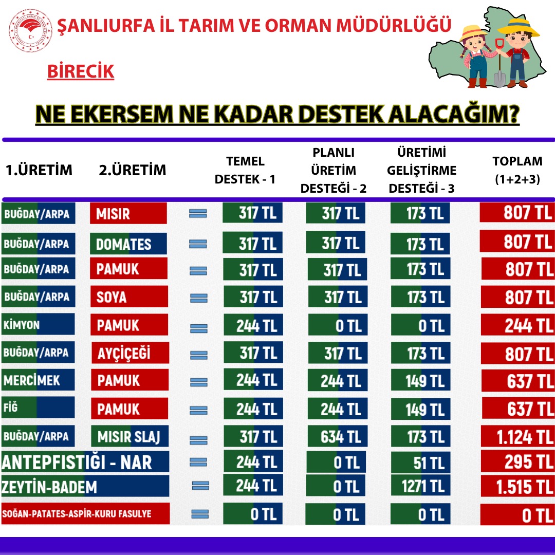 B İ R E C İ K-1