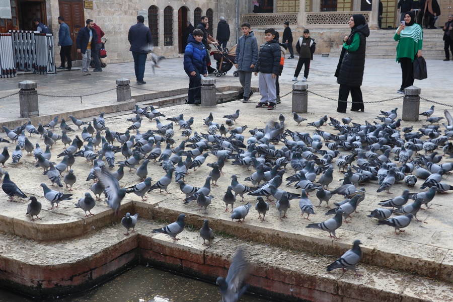 Balıklıgöl Camii