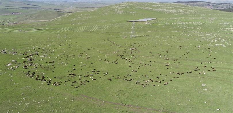 Jandarmadan Mera Arazilerine Yönelik Sıkı Denetim-1