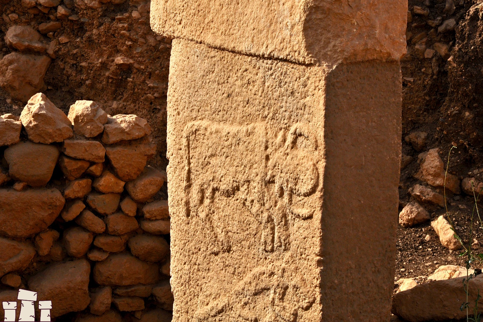 Şanlıurfa Göbeklitepe’ye Nasıl Gidilir (4)