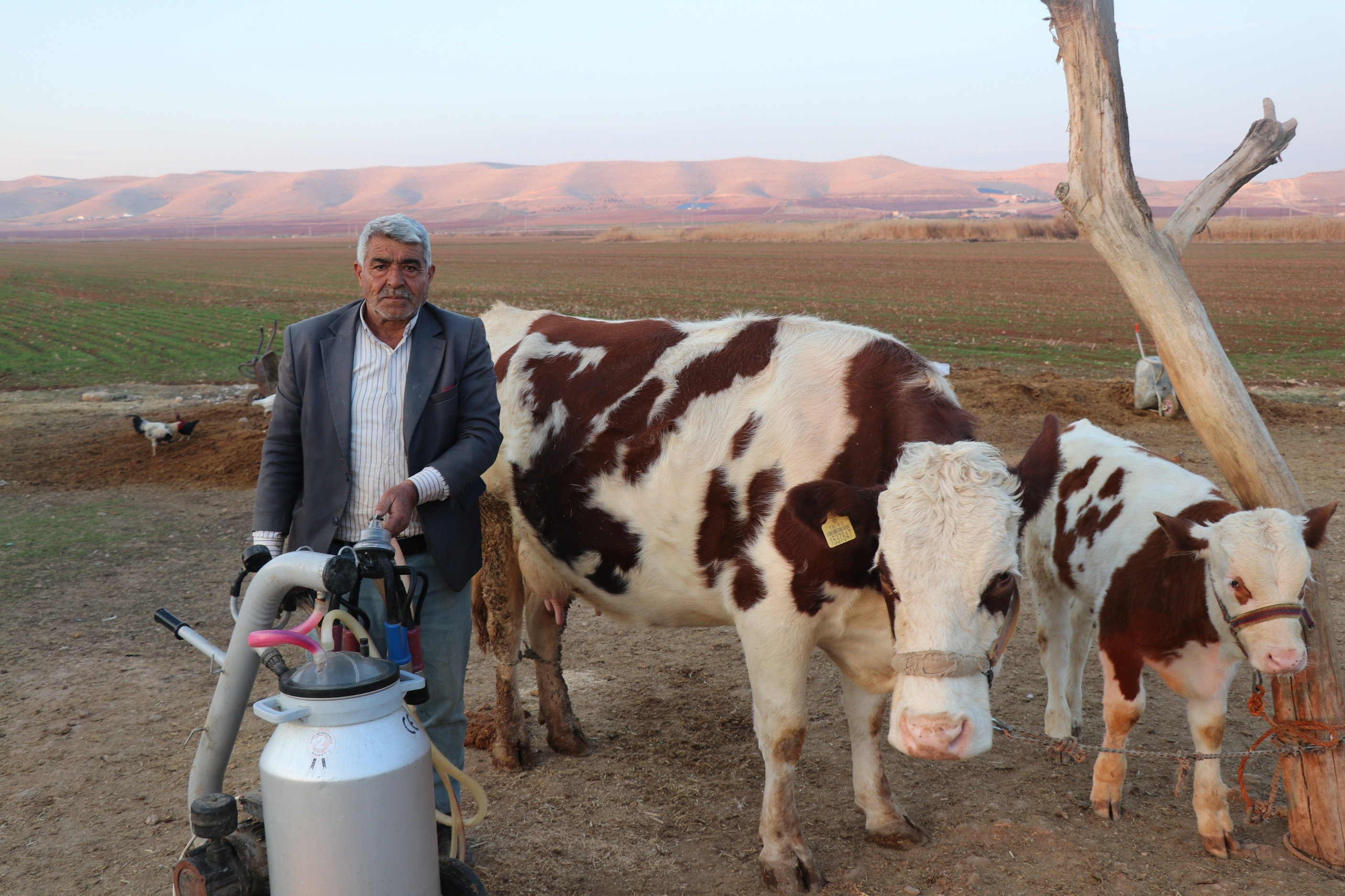 Şanlıurfa’da Süt Ürünleri Yapım Serüveni (3)