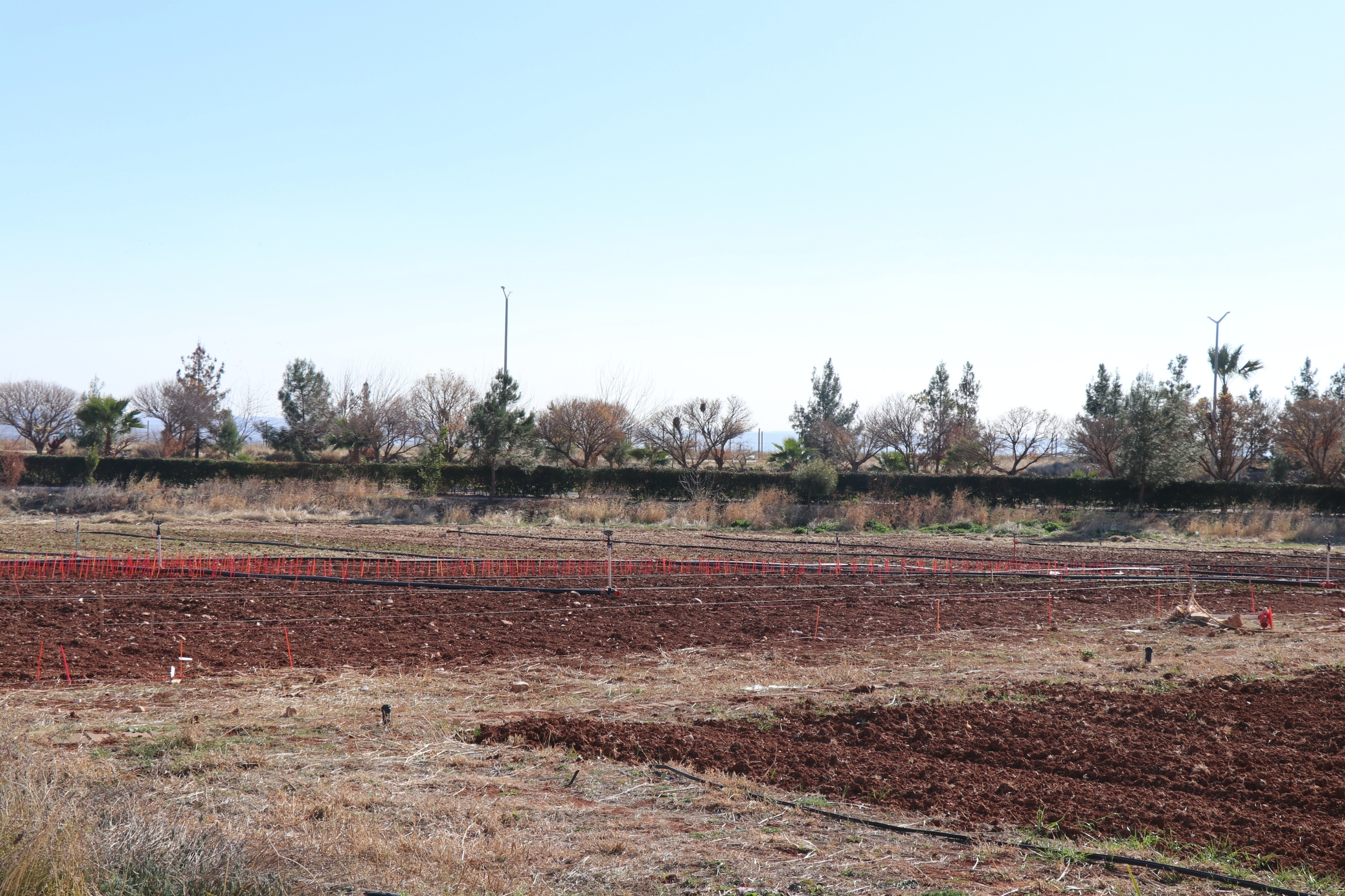 Şanlıurfa’ya Neden Yağmur Yağmıyor (1)