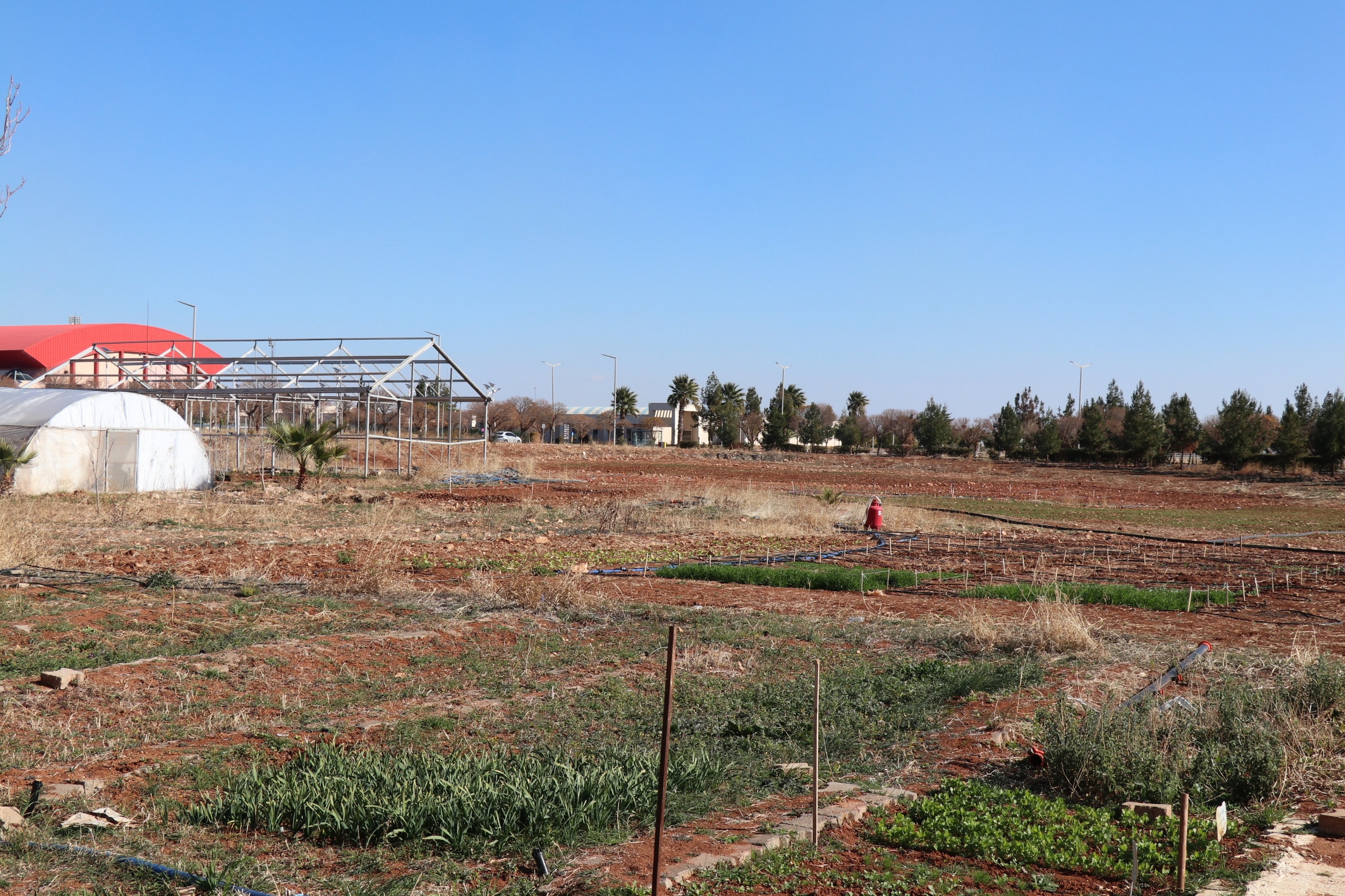 Şanlıurfa’ya Neden Yağmur Yağmıyor (5)