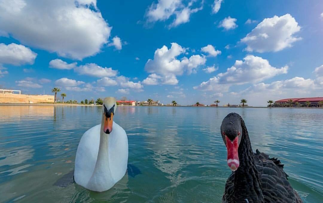 Türkiye’de Su Yönetiminde Yeni Bir Dönem Başlıyor! (4)