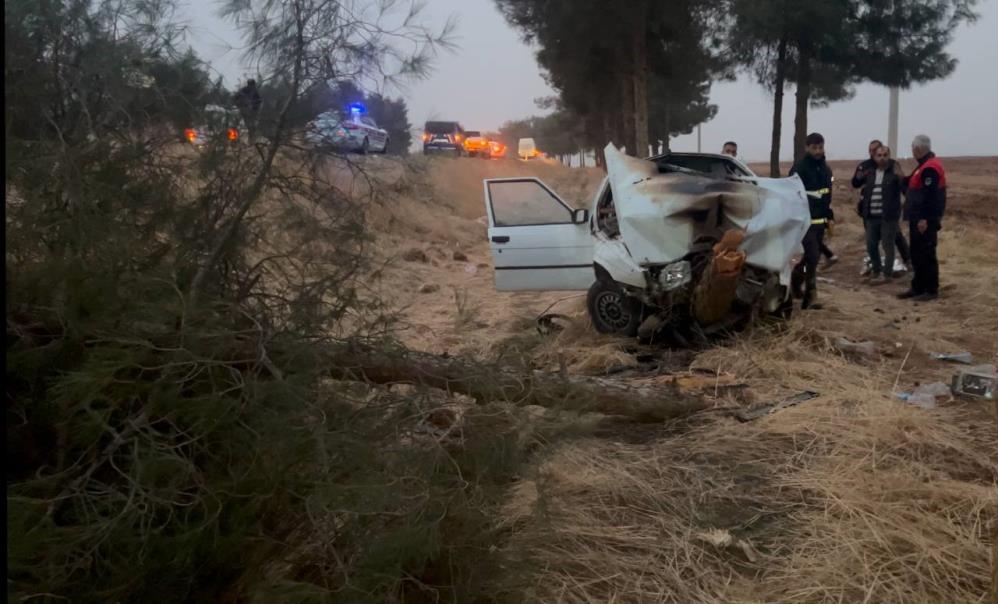 Şanliurfa'da Ocak Ayı Trafik Kazası Bilançosu (3)