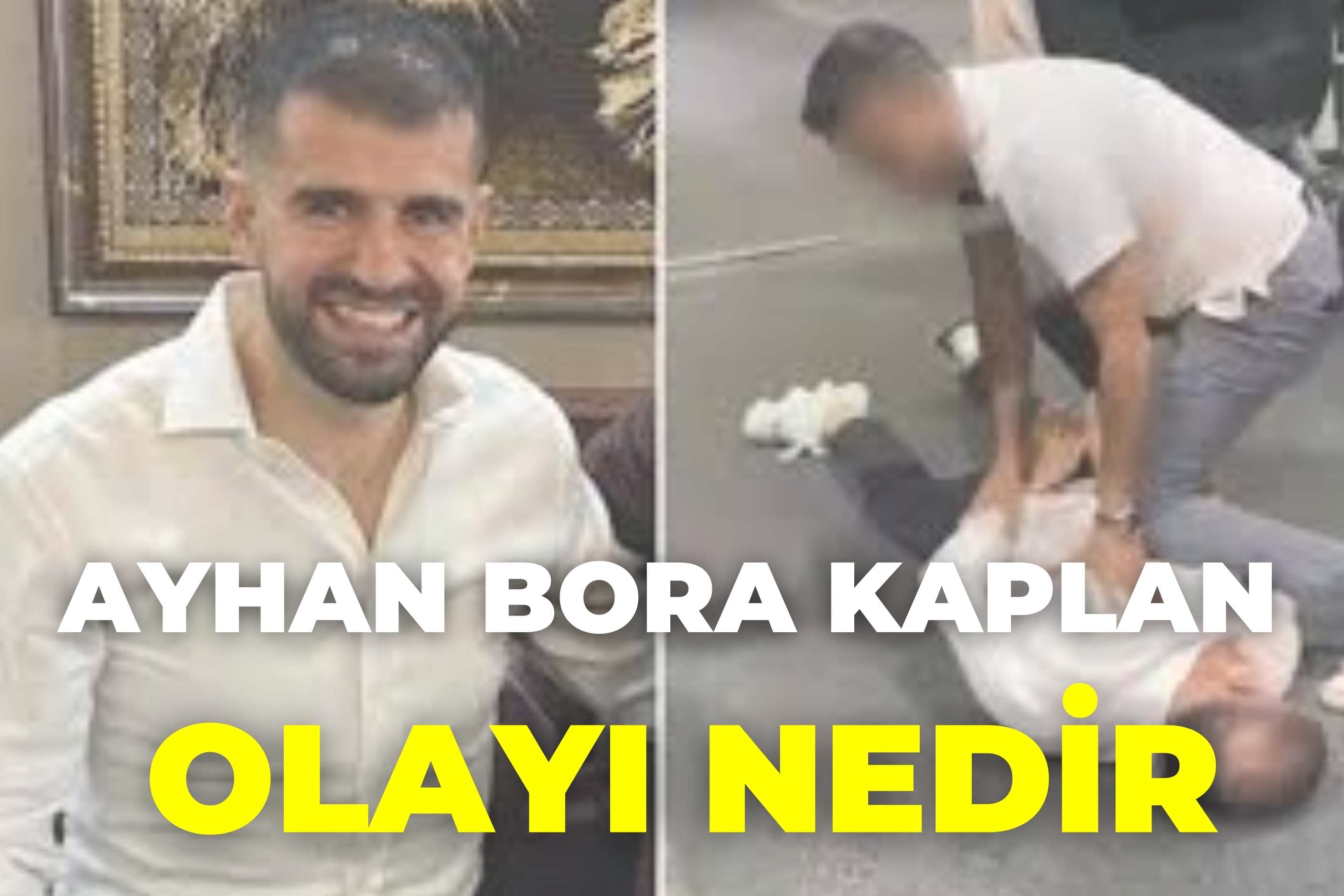 AYHAN BORA KAPLAN OLAYI NEDİR-1