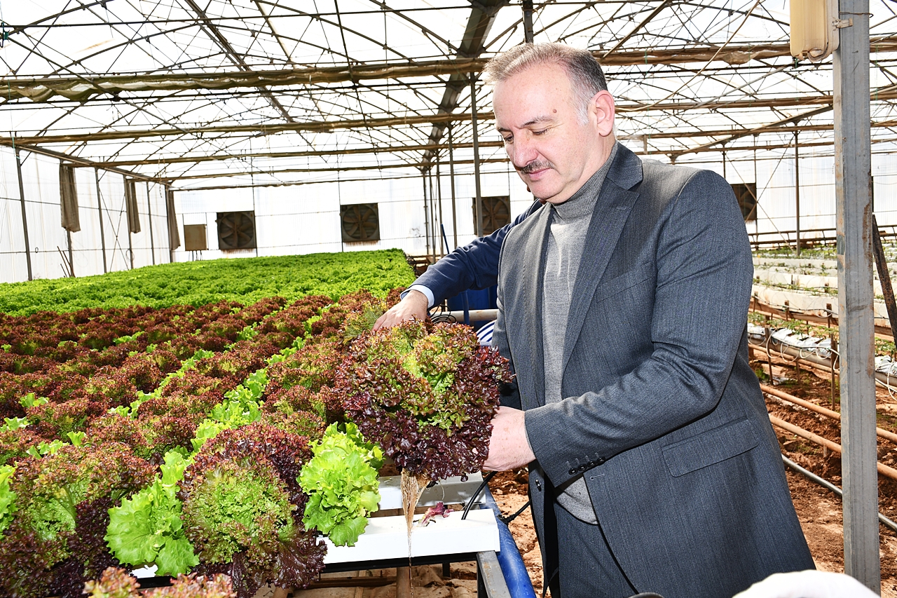 Harran Üniversitesi Tarafından Yeniden Hayata Geçirildi-2