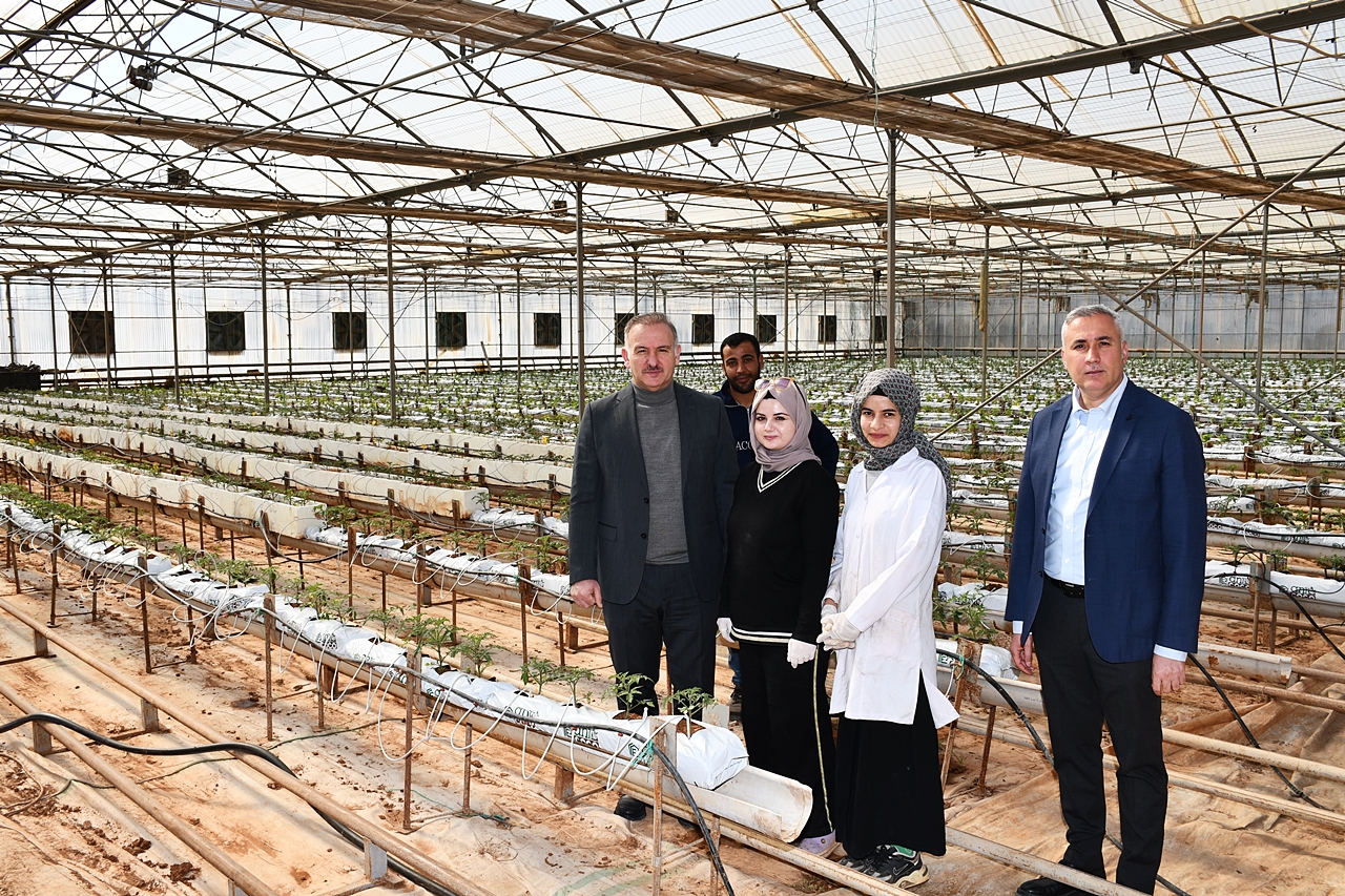 Harran Üniversitesi Tarafından Yeniden Hayata Geçirildi-3