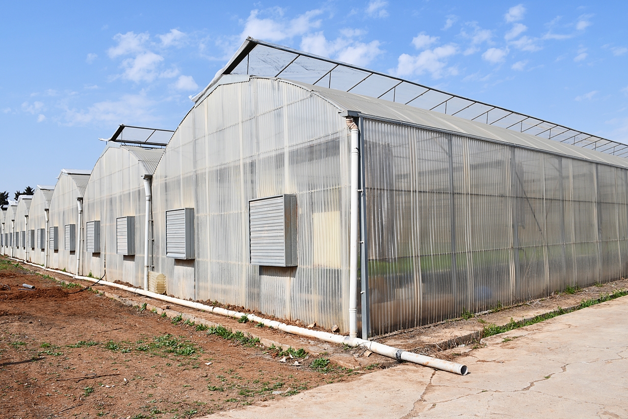 Harran Üniversitesi Tarafından Yeniden Hayata Geçirildi-4