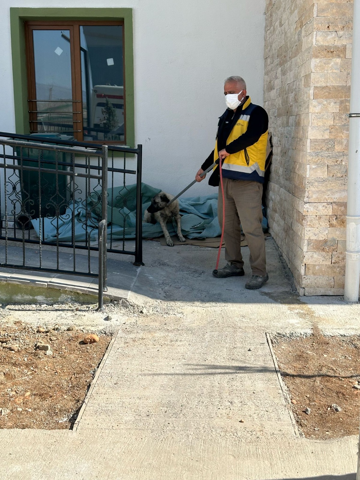 Kahta Belediyesi Başıboş Köpekleri Toplamaya Devam Ediyor!-1