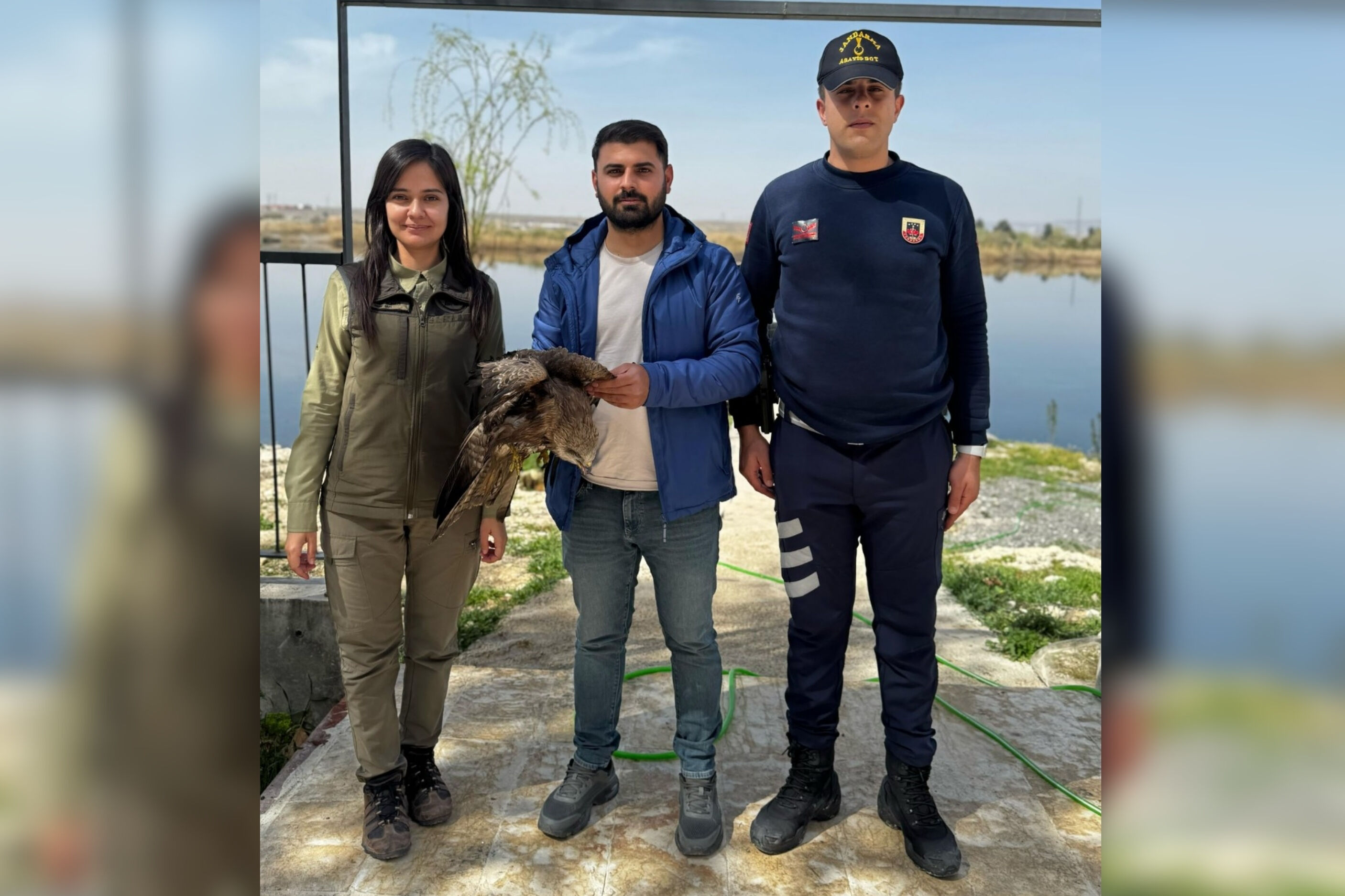Şanlıurfa Birecik’te Güçten Düşmüş Halde Bulundu! 26