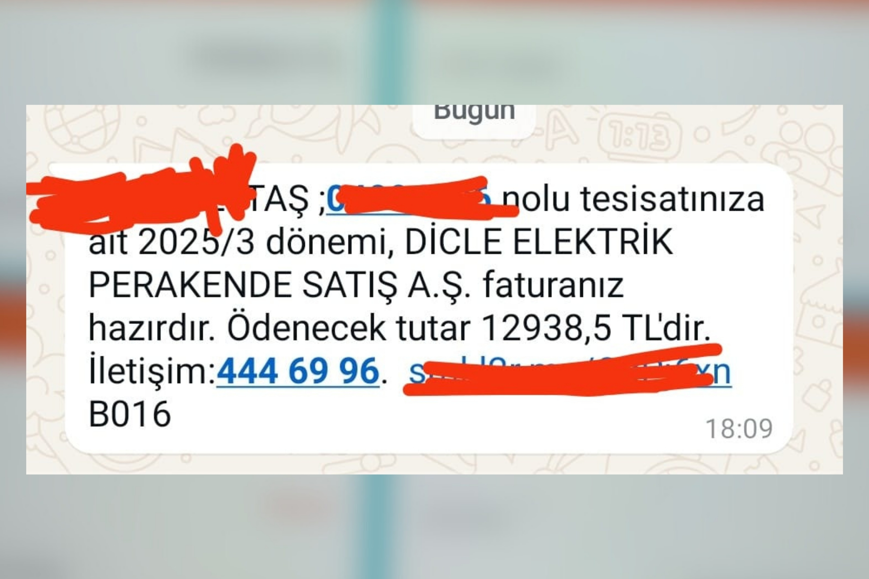 Şanlıurfa’da Bir Eve Gelen Fatura Hayrete Düşürdü (2)