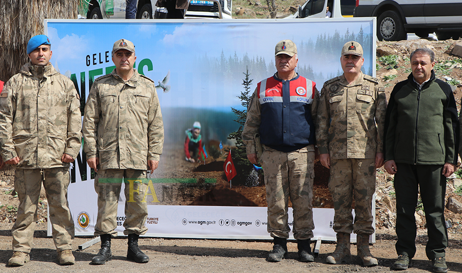 Şanlıurfa'da Fidan Dikimi (1)