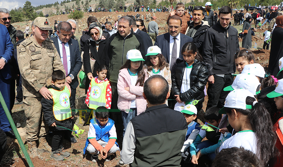 Şanlıurfa'da Fidan Dikimi (5)