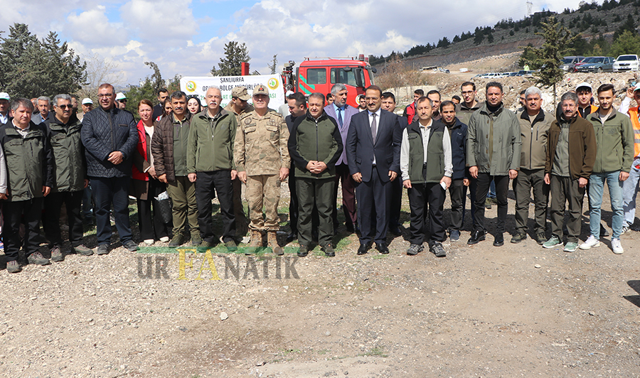 Şanlıurfa'da Fidan Dikimi (7)