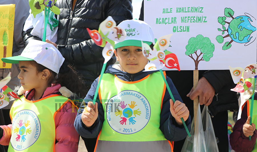 Şanlıurfa'da Fidan Dikimi (9)