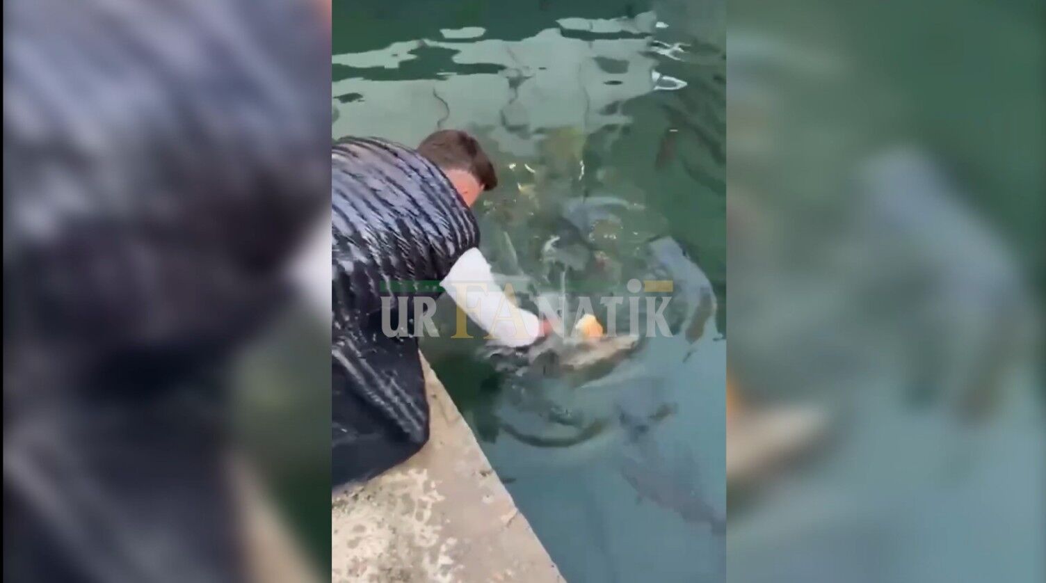 Balıklıgölde Balık Yakaladı