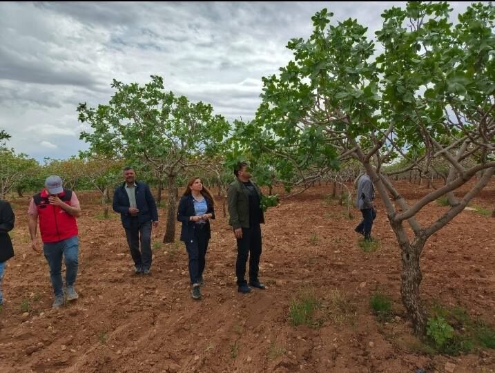 Bozova’da Geçim Krizi Derinleşiyor! (1)