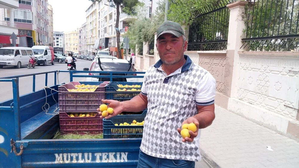 Kayısı Üreticisi İshak Akdağ