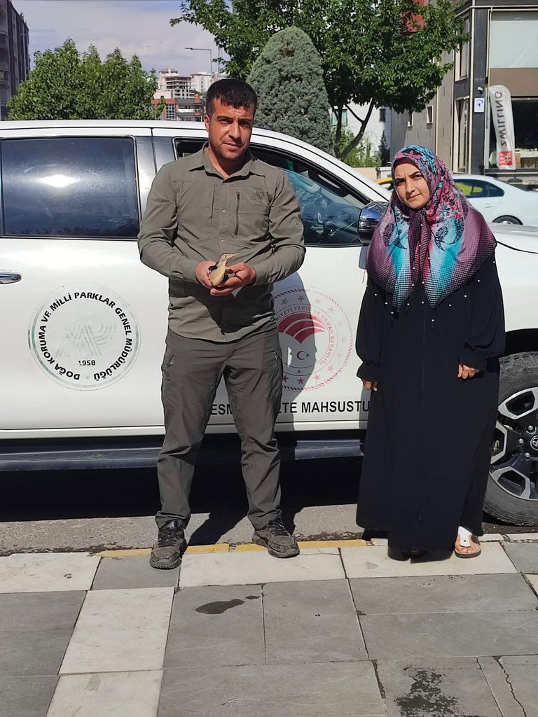Şanlıurfa’da Balaban Kuşları Doğaya Salındı (1)
