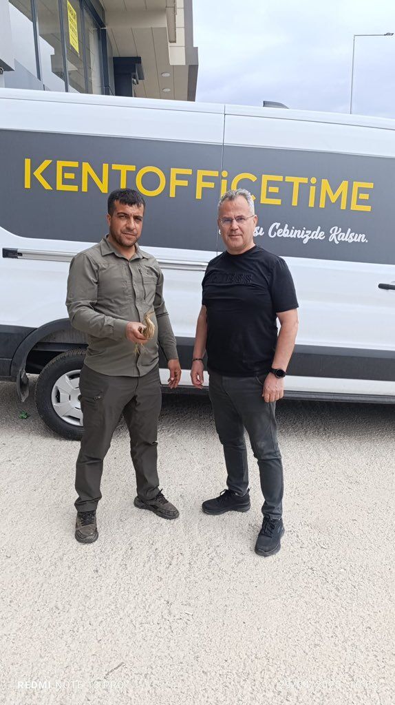 Şanlıurfa’da Balaban Kuşları Doğaya Salındı (2)