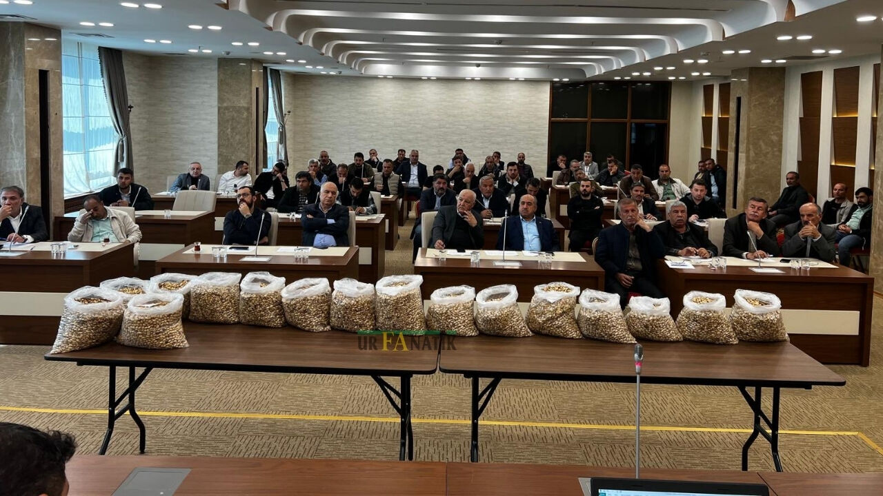 Siirt, Antep Ve Ohadi Fıstık Fiyatları Belli Oldu