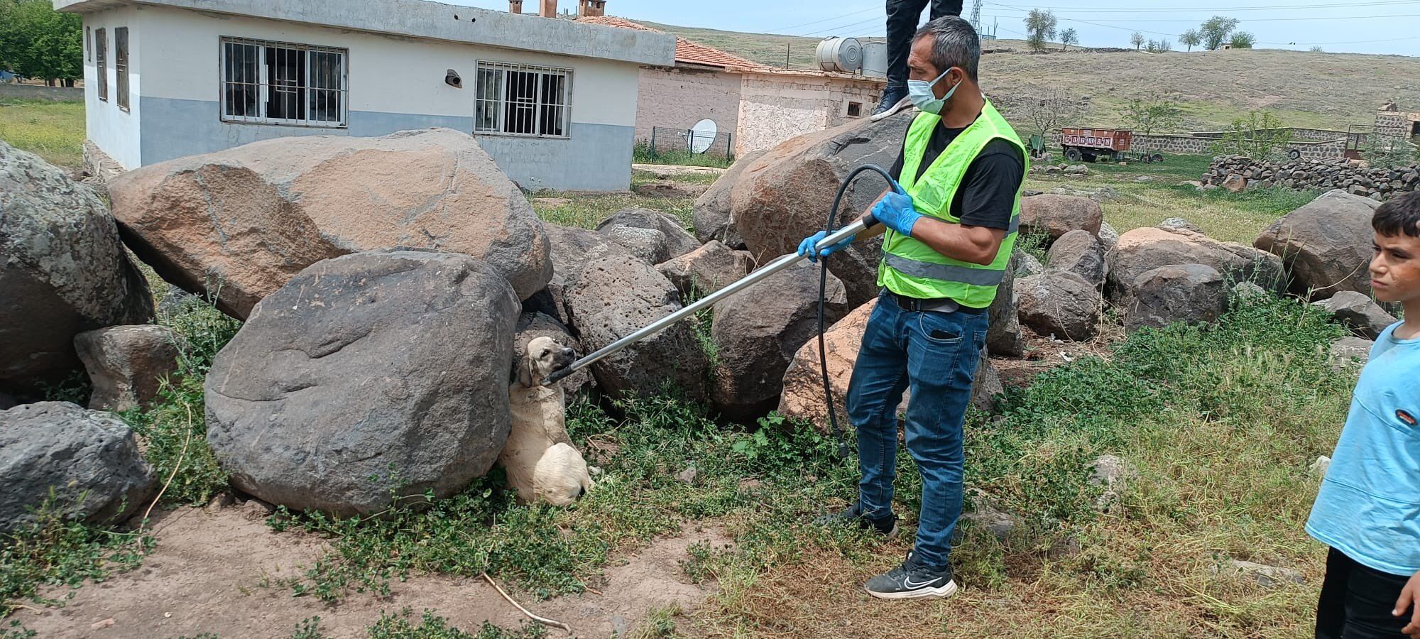 Siverek’te Sokak Hayvanları İçin Harekete Geçildi (4)