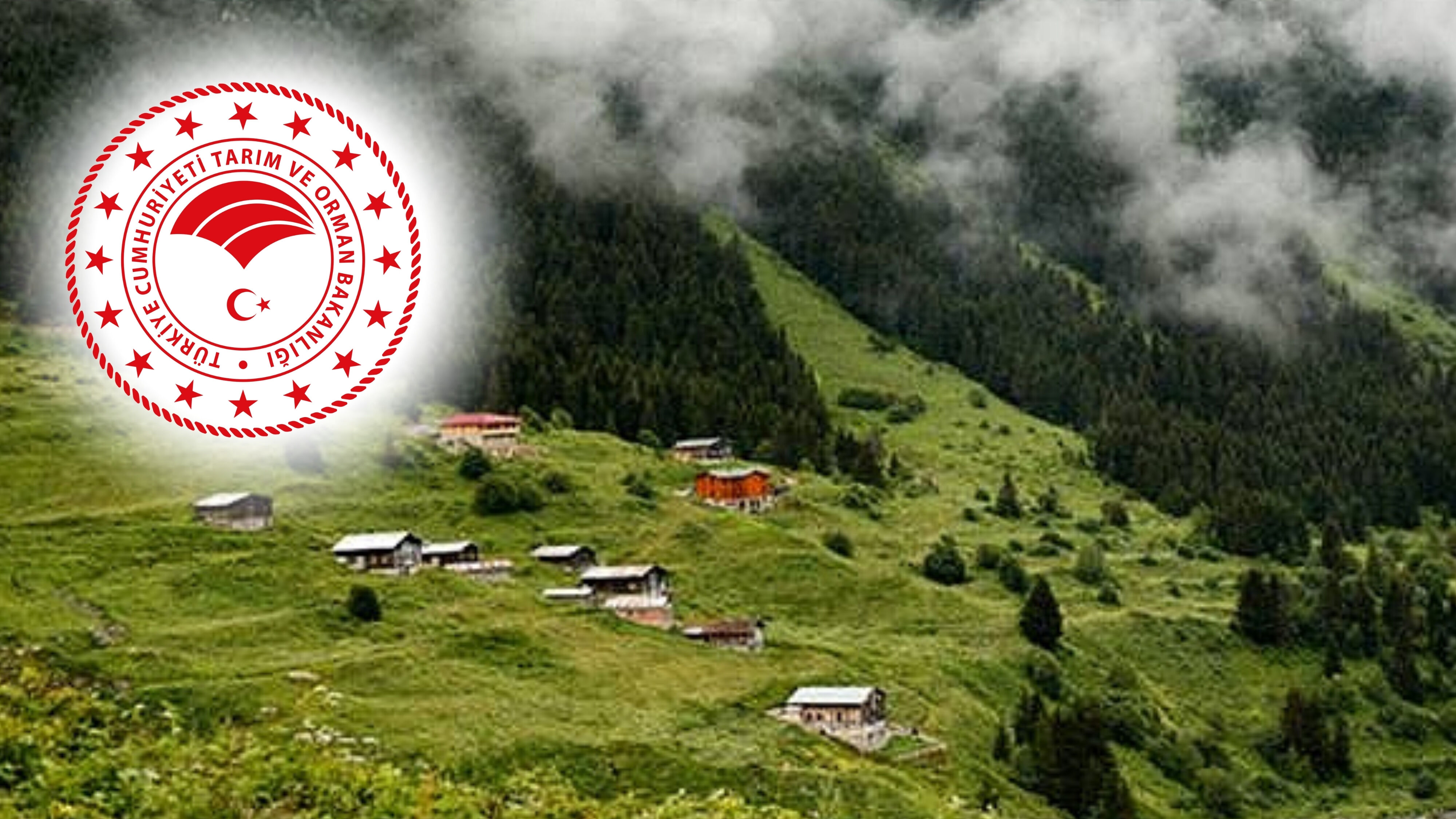 Tarım Ve Orman Bakanlığı-5