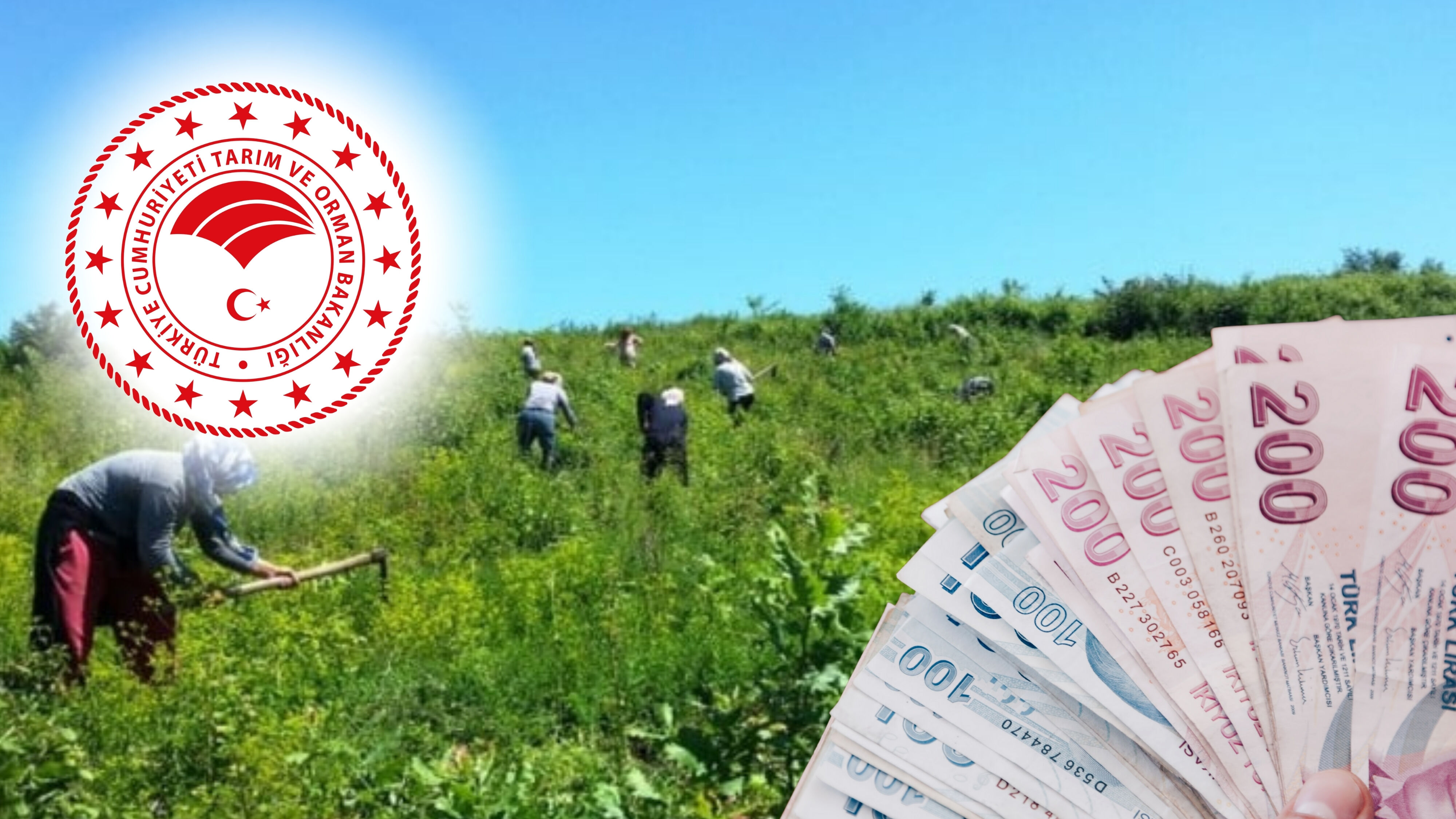 Tarım Ve Orman Bakanlığı Geri̇ Ödemeli̇ Kredi̇ Süresi̇ Ne Kadar Olacak
