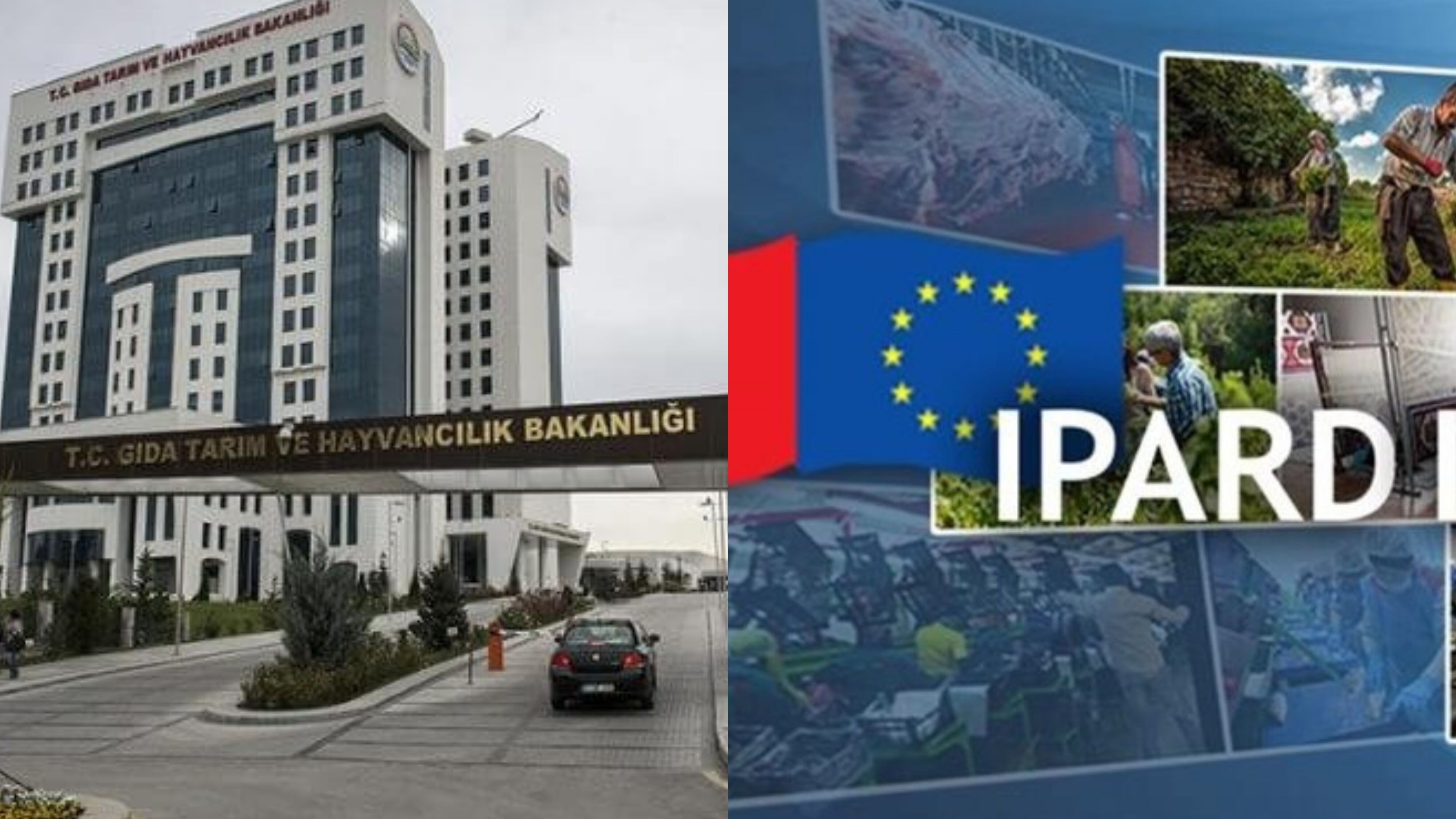 Türkiye Ve Avrupa Birliği (Ab)