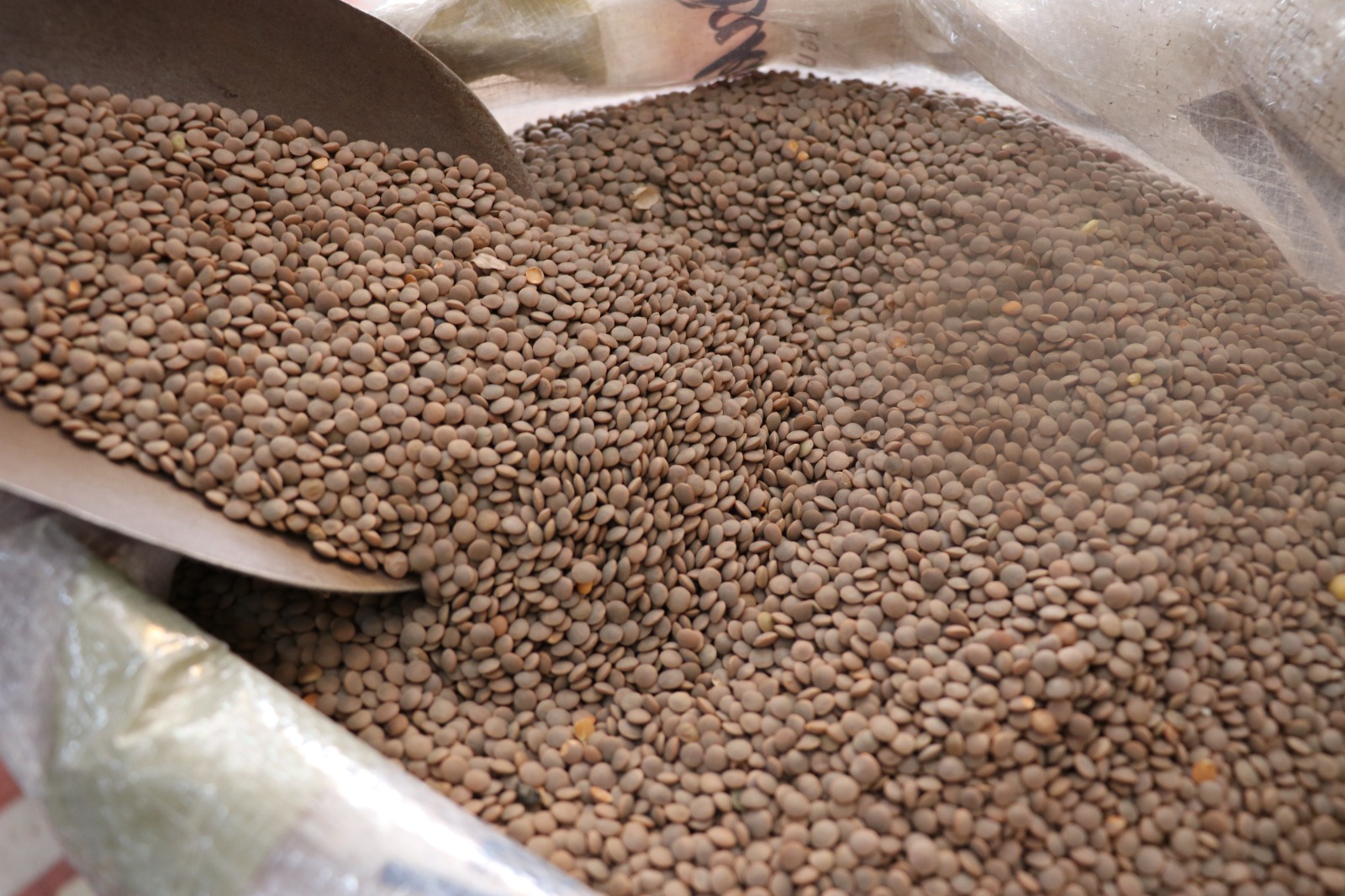 Yeşil Mercimek