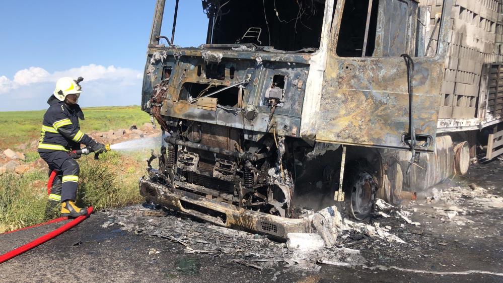 Batman’dan Şanlıurfa’ya Varmadan Alevlere Teslim Oldu! (2)