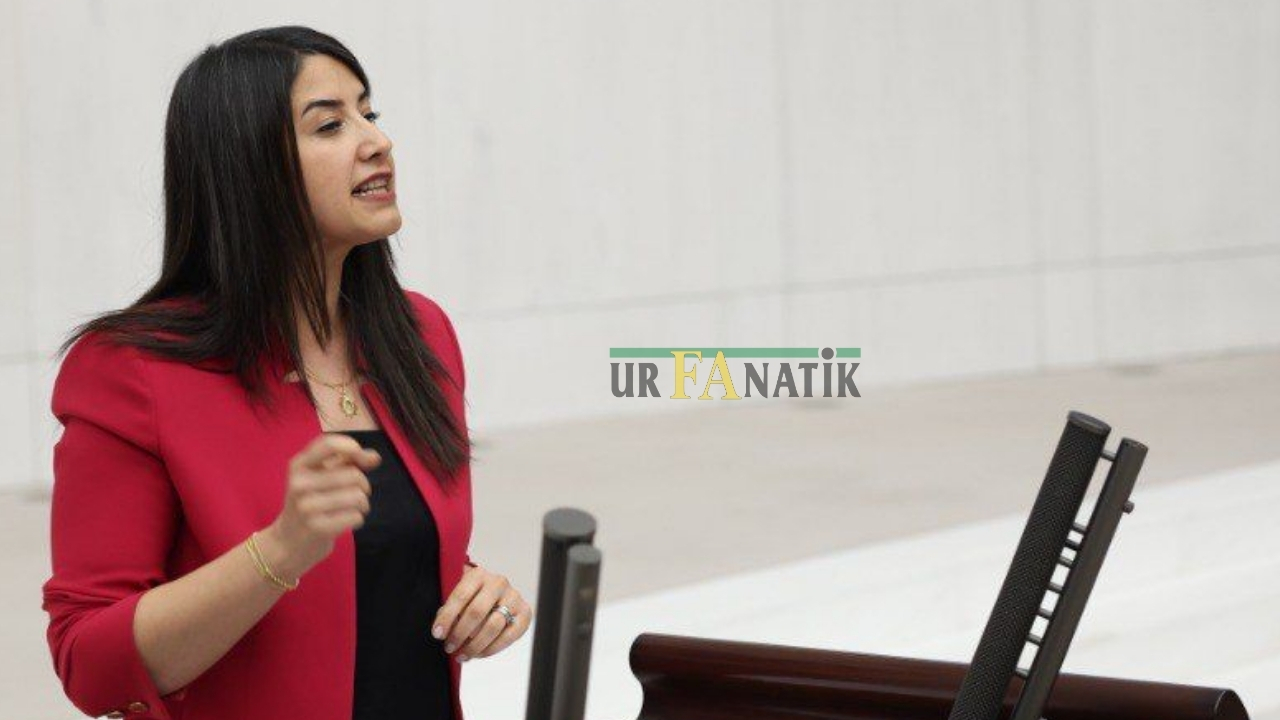 Dilan Kunt Ayan Zehirlenme Vakalarını Milli Eğitim Bakanı Yusuf Tekine Sordu
