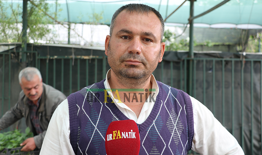 Fidancı Mehmet Ölmezler