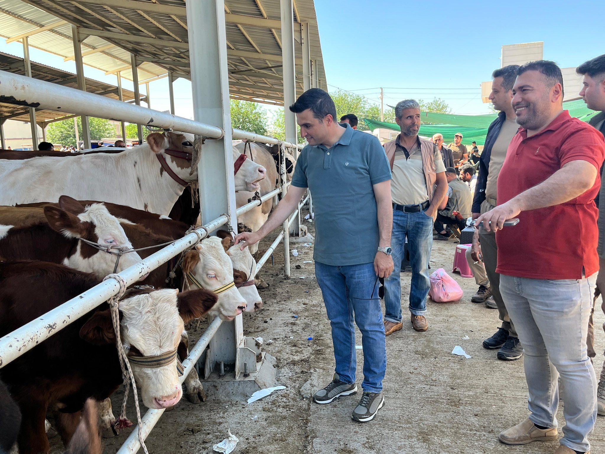 Halil Yeşilyurt Yaylak Hayvan Pazarı