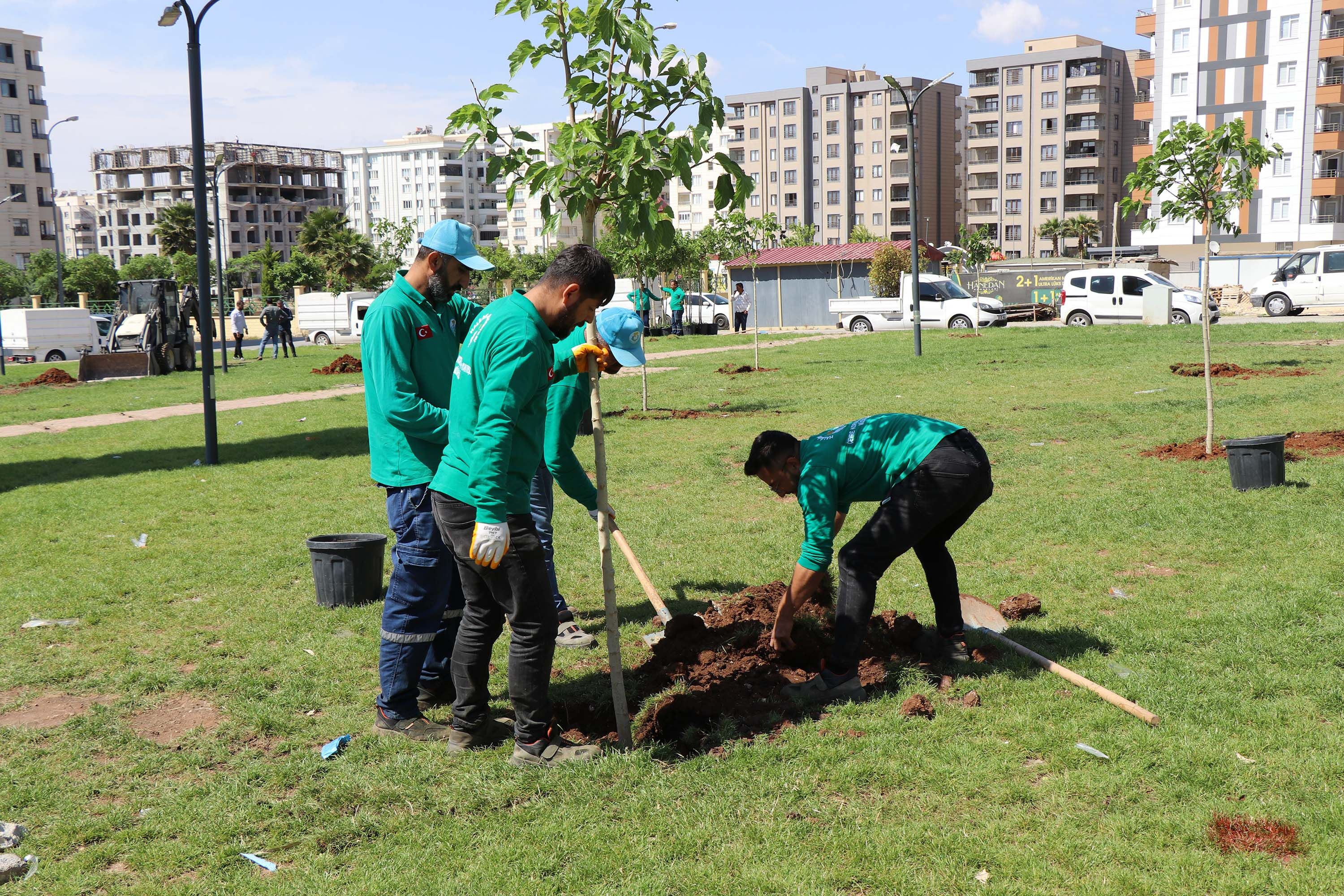 Haliliye Belediyesi Çalışmalarıyla Yaşam Kalitesini Artırıyor