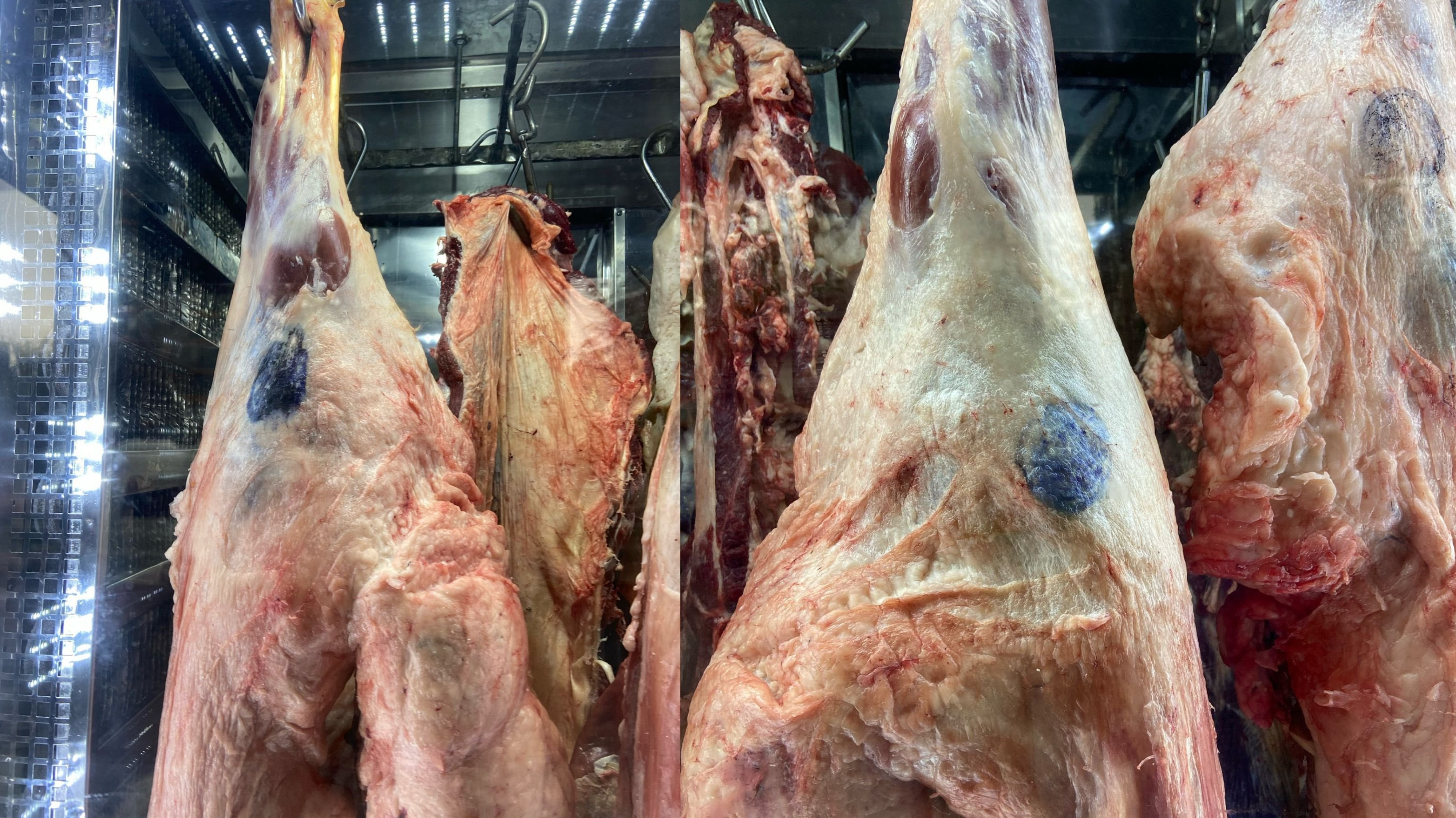 Haliliye İlçe Tarım Ve Orman Müdürlüğü Zabıta Ekipleri 80 Kilo Karkas Et Ele Geçirildi
