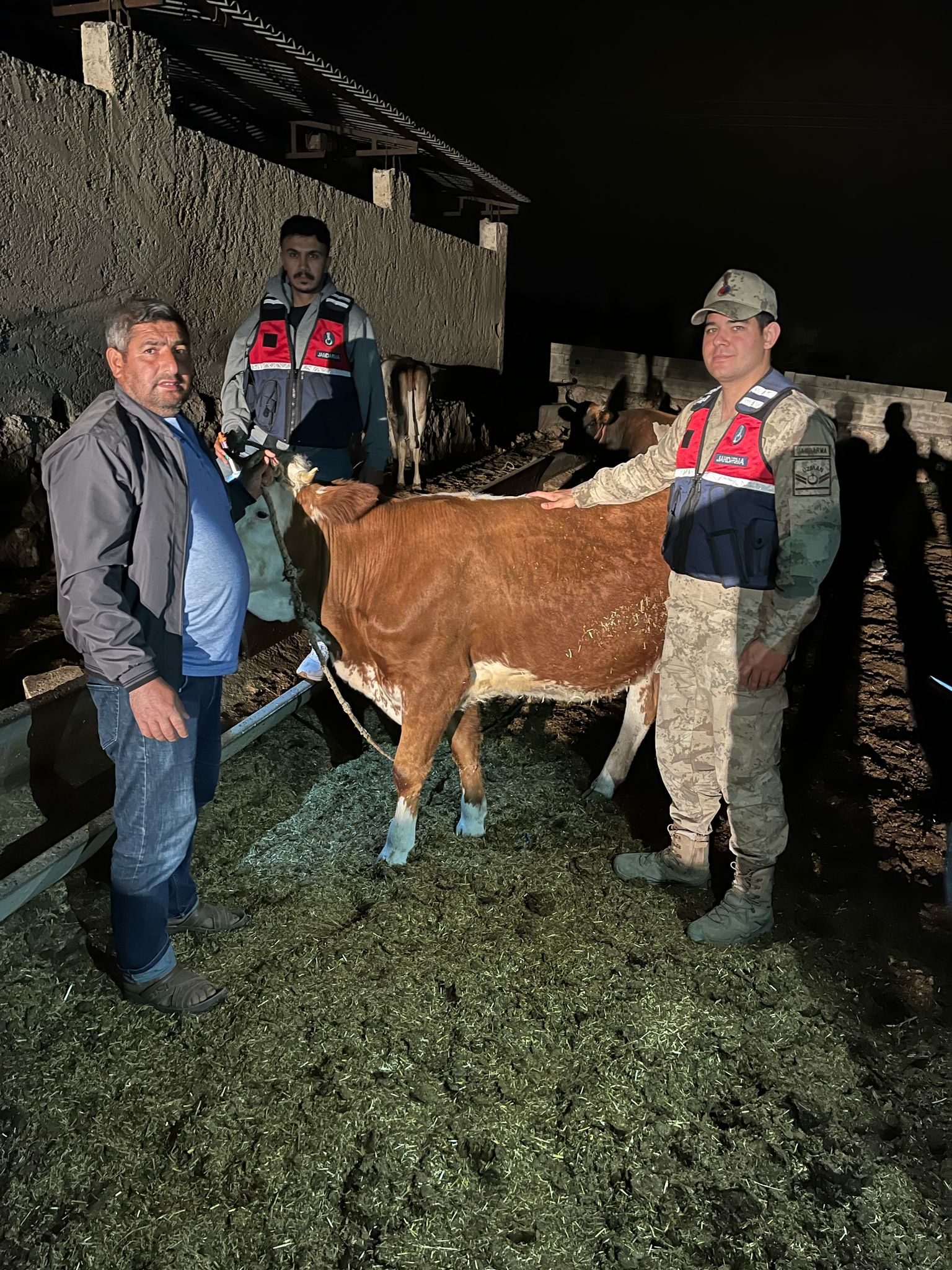 Harran Hayvan Hırsızlığı