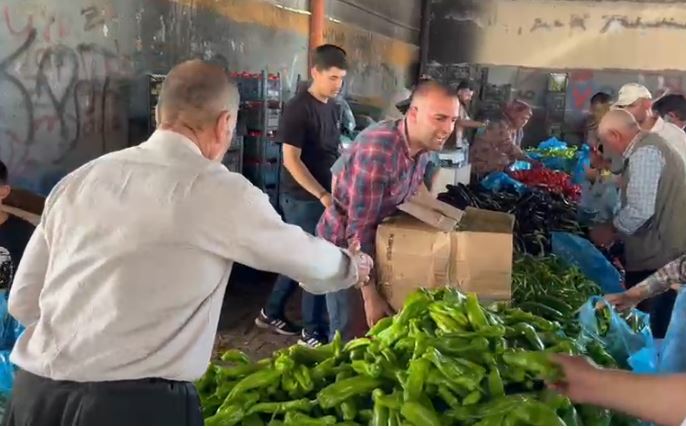 Hilvan Domates Fiyatı