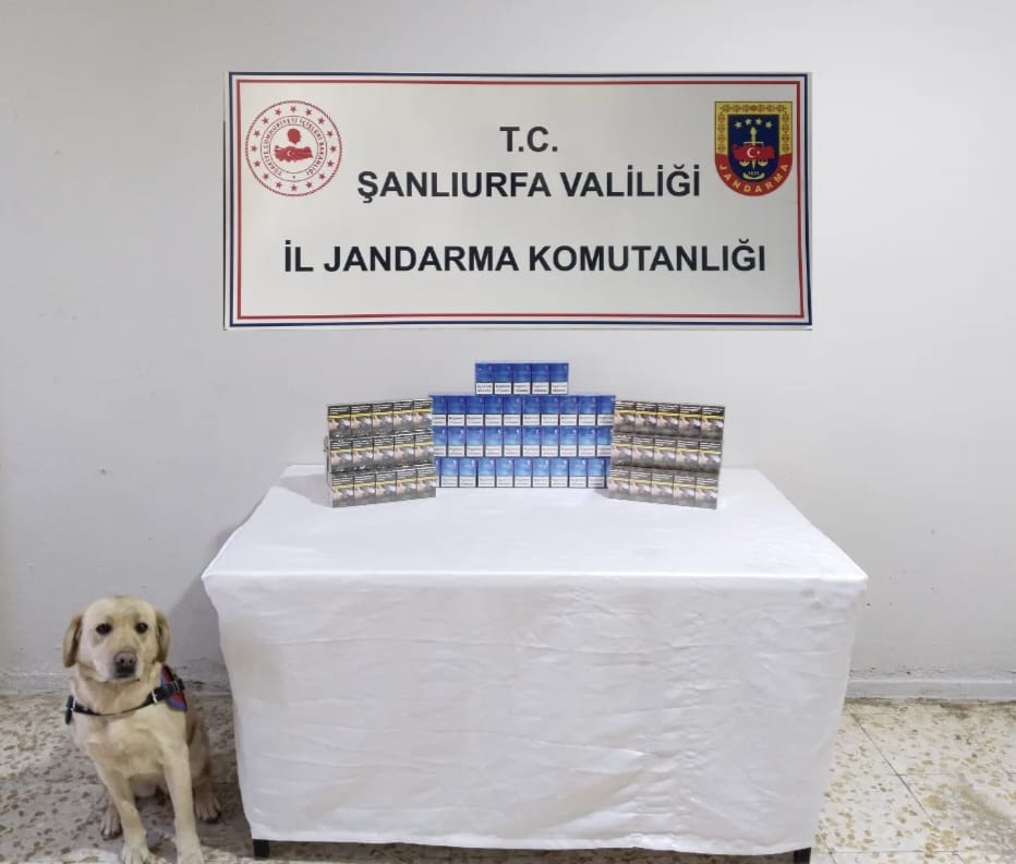 Ilçelerde Kaçakçılık Operasyonu