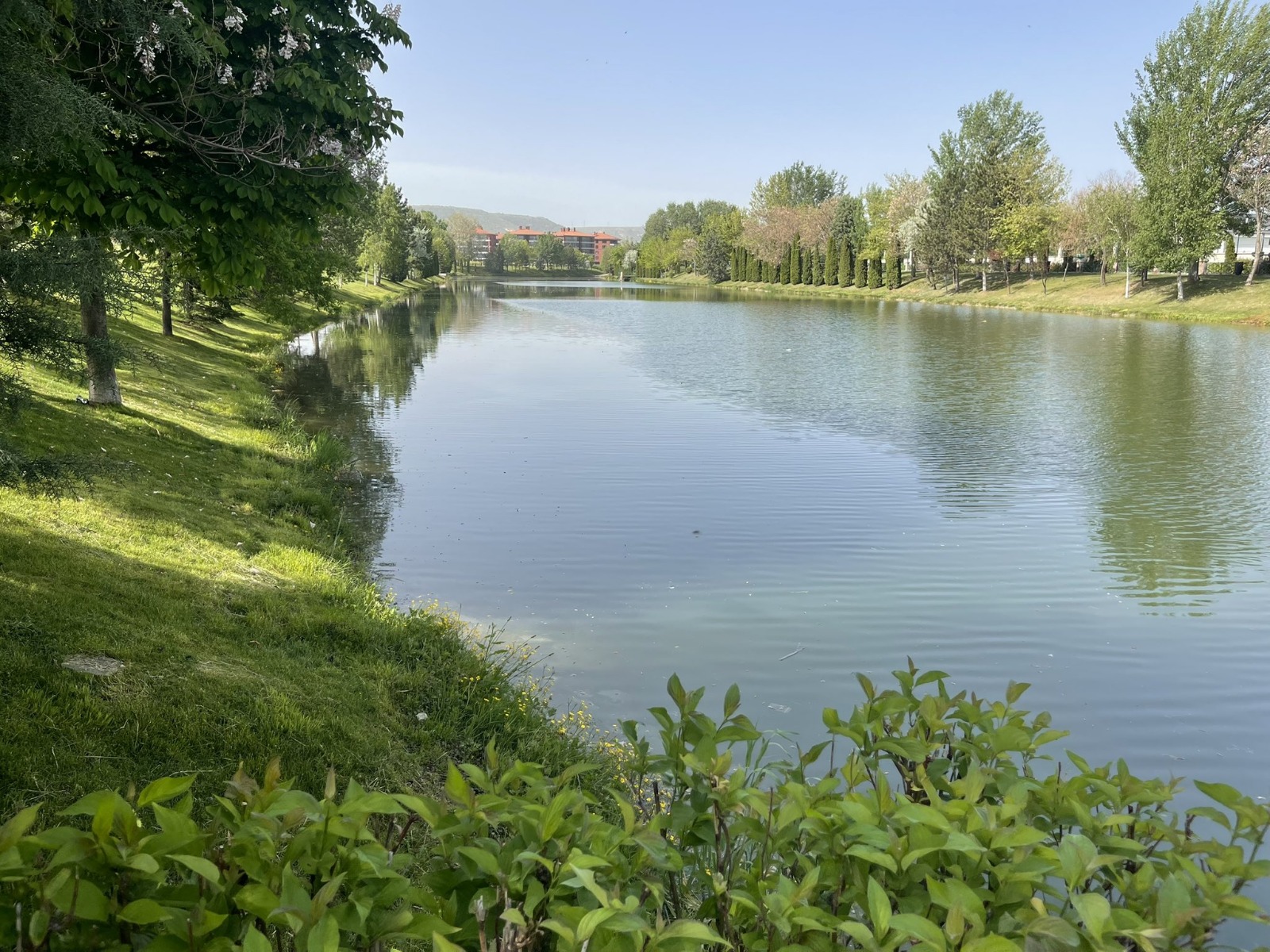 Mahmut Tanal’dan Şanlıurfa İçin Eskişehir Modeli Çağrısı (2)
