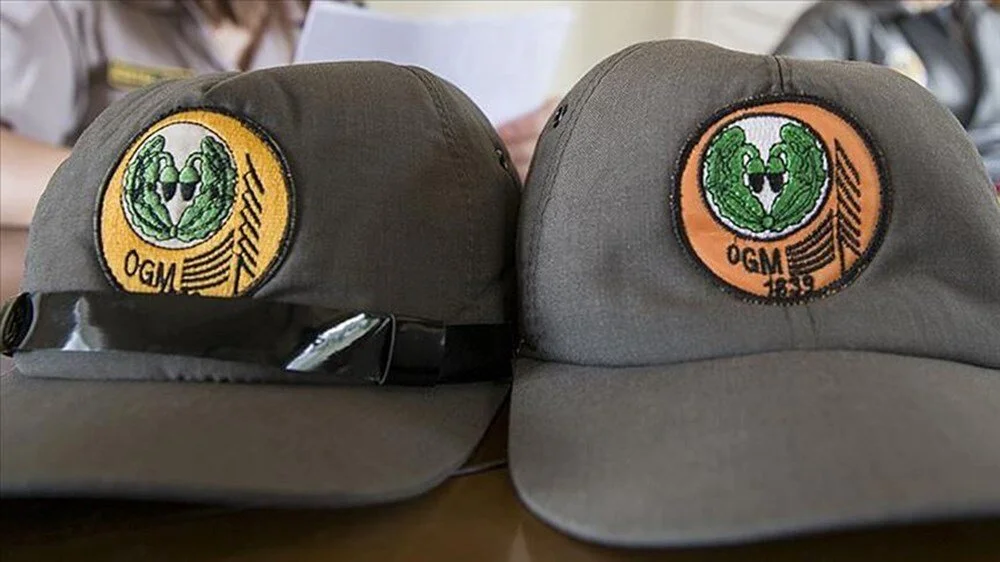 Ogm