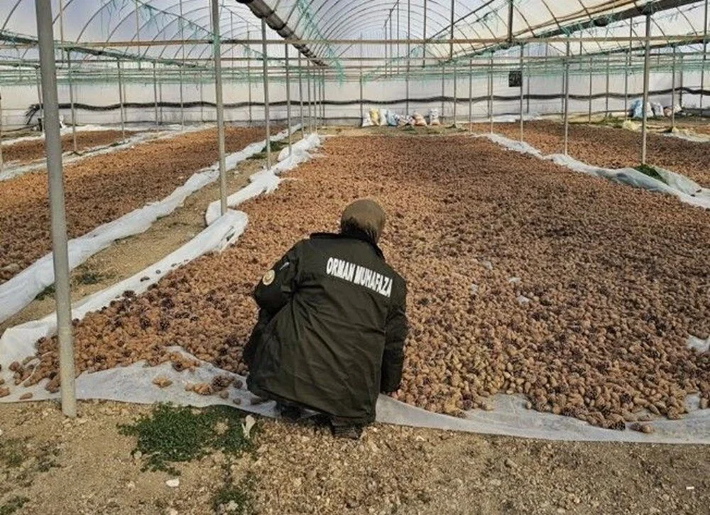 Orman Genel Müdürlüğü Personel Alımı