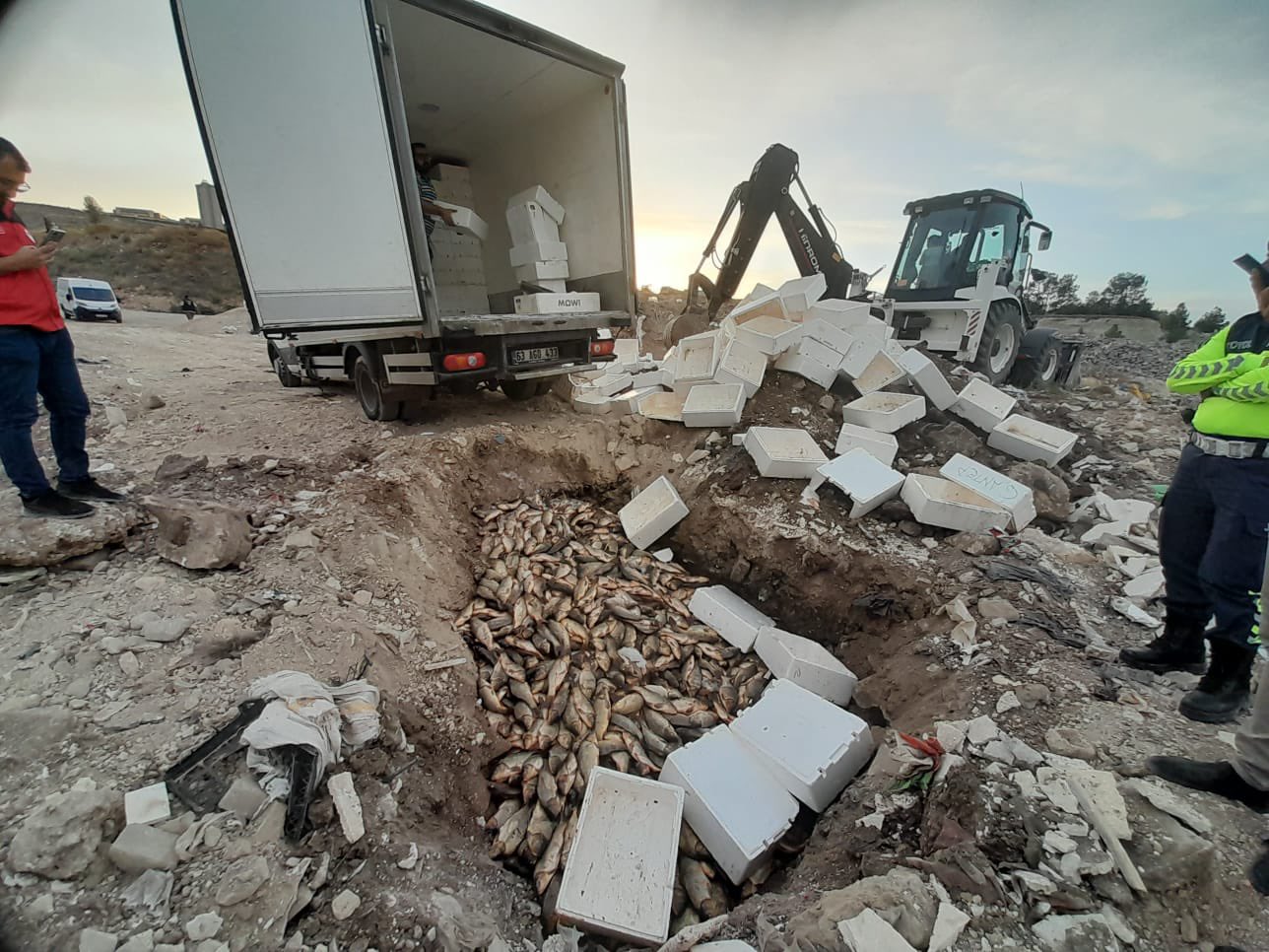 Şanlıurfa Jandarması, 1.5 Ton Kaçak Sazan Balığına El Koydu! (2)