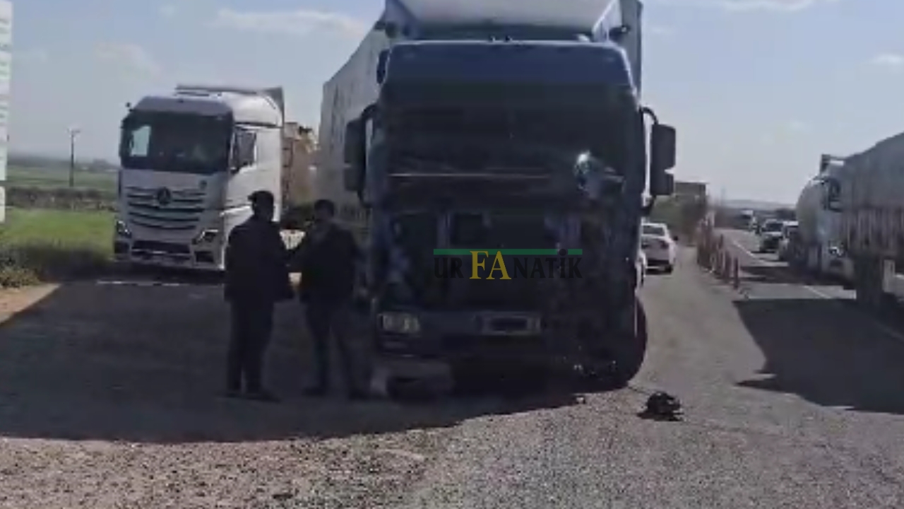 Şanlıurfa Suruç Yolunda Kaza