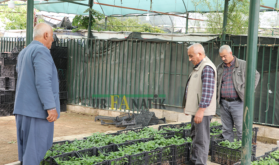 Şanlıurfa'da Satışlar Hız Kazandı Bakın Fiyatlar Ne Durumda… (1)