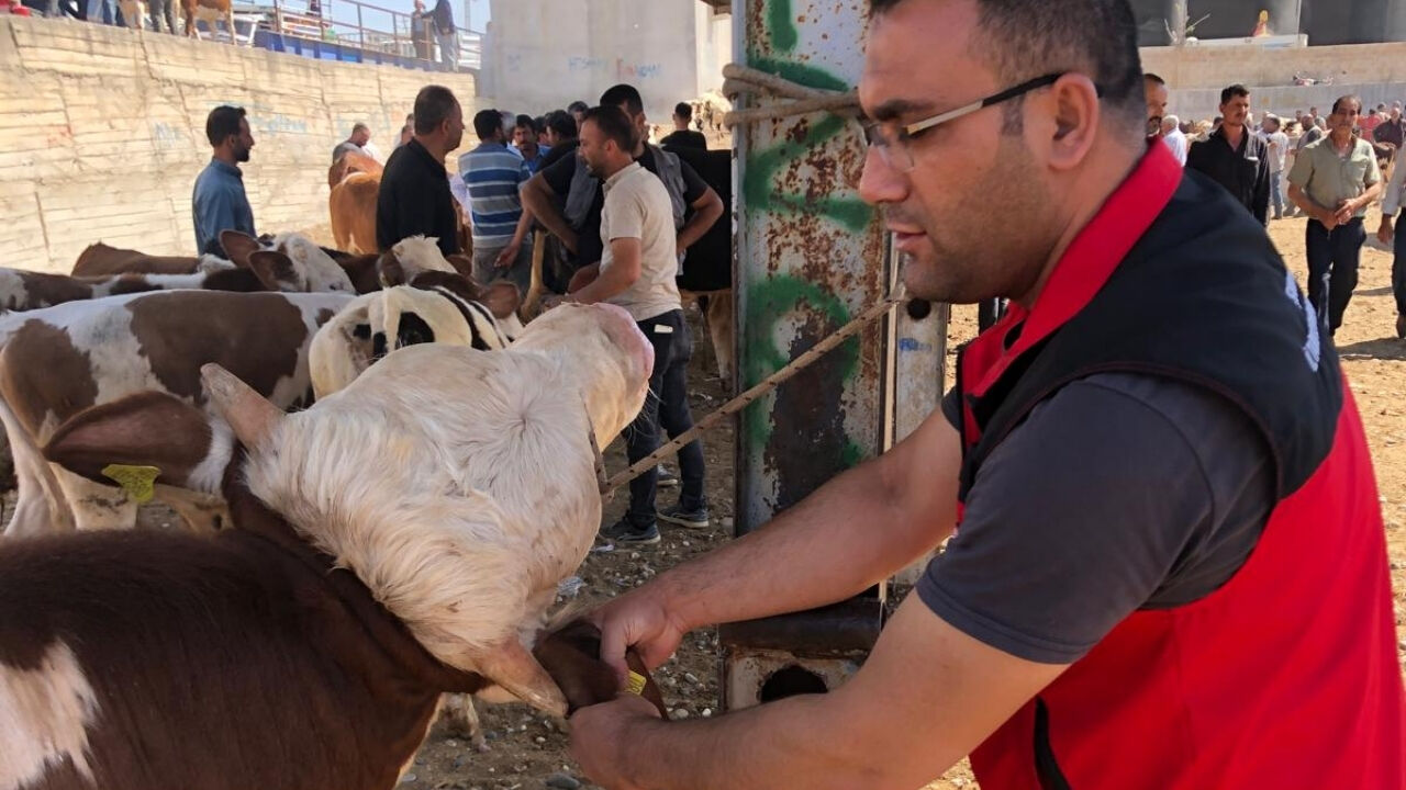 Şanlıurfa'da Yeni Uygulama Devrede (2)