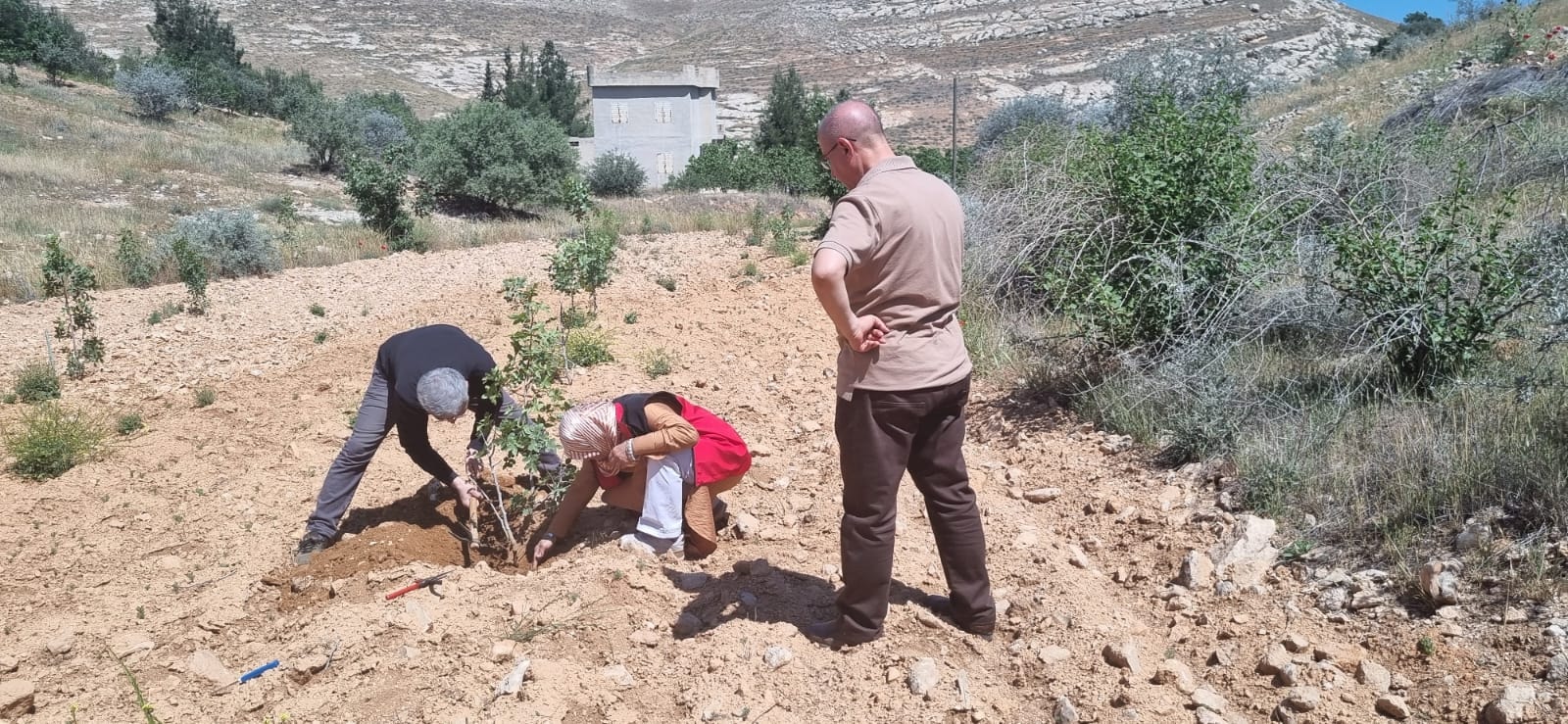 Şanlıurfa’daki Fıstık Üreticileri İçin Kritik Uyarılar! (3)